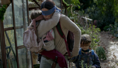 bird box