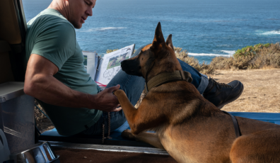 DOG UN VIAJE SALVAJE