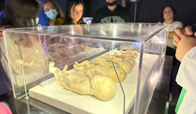 EXPO BODIES EVOLUTION