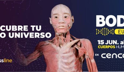 EXPO BODIES