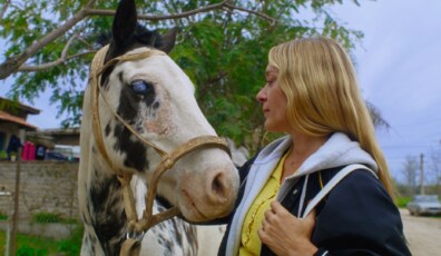 MAGIC FARM MOVIE