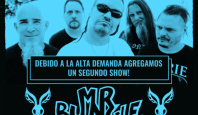 Mr bungle