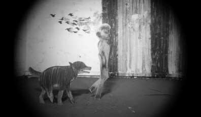 PJ Harvey - I Inside the Old I Dying