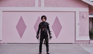 Timothee chalamet edward scissorhands