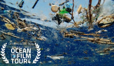 a plastic ocean