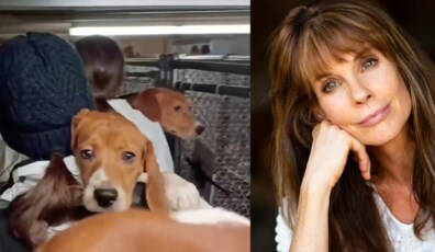 alexandra paul