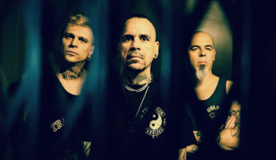 banda animal
