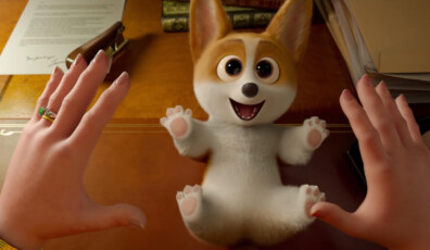 corgi un perro real