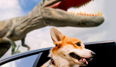 dinosaurio auto car
