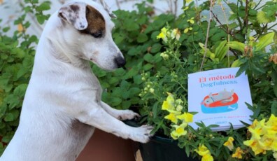 el metodo dogfulness -