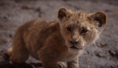 el rey leon 2019