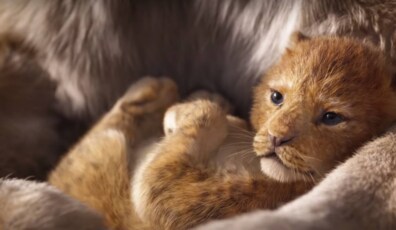 el rey leon 2019