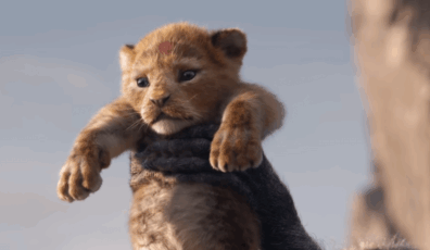 el rey leon 2019
