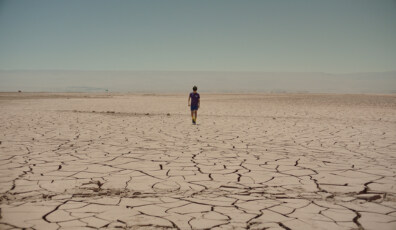 estrellas del desierto