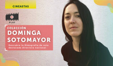 ficvaldivia dominga sotomayor