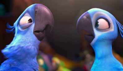 guacamayo