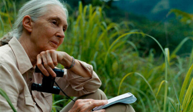 jane goodall