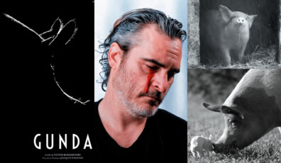 joaquin phoenix gunda