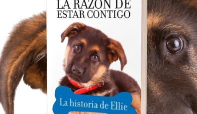 la razon de estar contigo