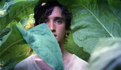 lazzaro feliz