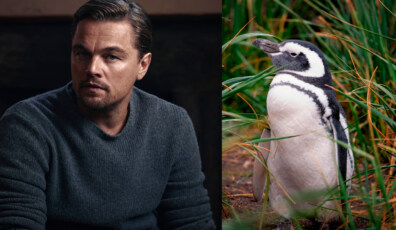 leonardo dicaprio