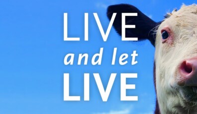 live-and-let-live