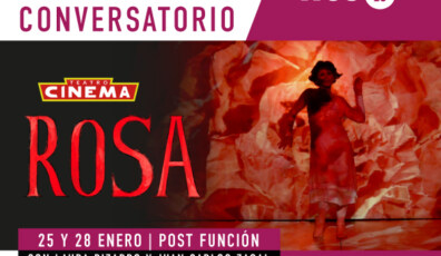 rosa - fundación corpartes