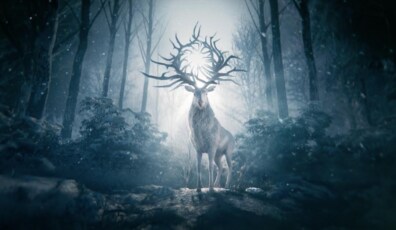 shadow and bone